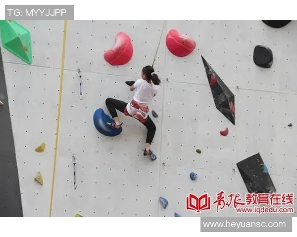 张娜独家分享排球心得与技巧助你提升竞技水平与团队配合能力