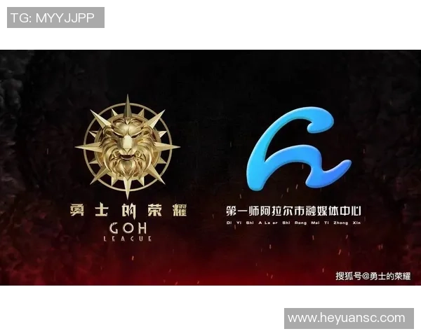 成都排球队的崛起之路精英赛背后的拼搏与荣耀