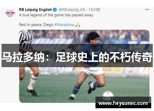 马拉多纳：足球史上的不朽传奇