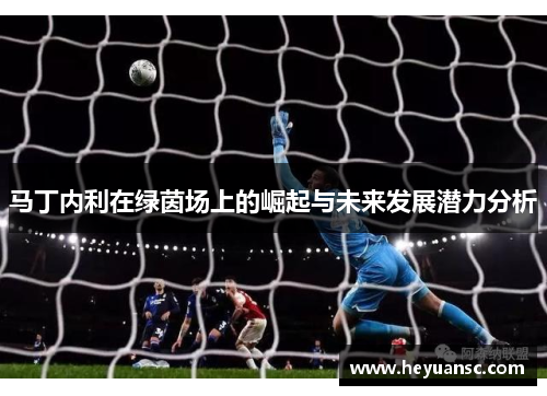 马丁内利在绿茵场上的崛起与未来发展潜力分析